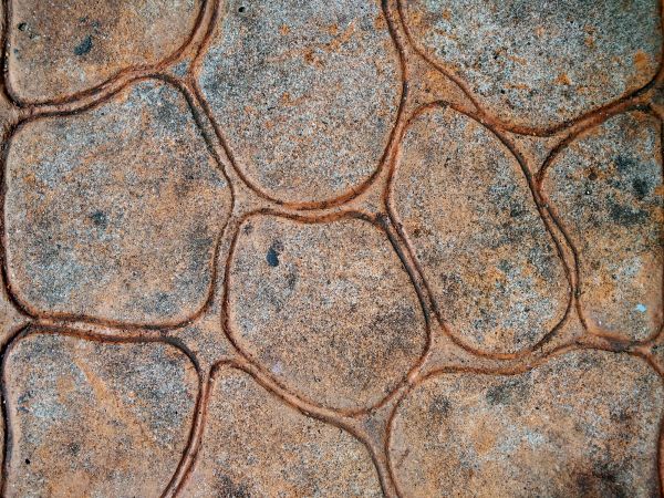 Cost of Concrete Stamping in Peyton