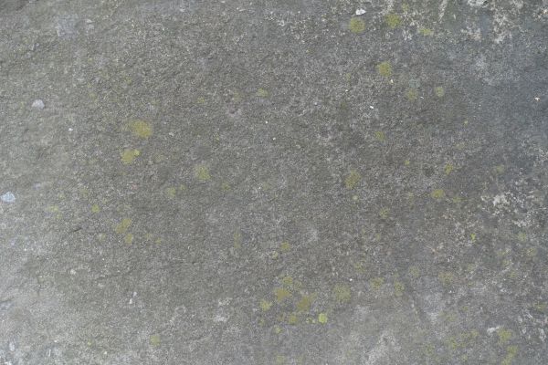 Cost of Slab Staining Service in Peyton